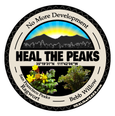 Heal the Peaks